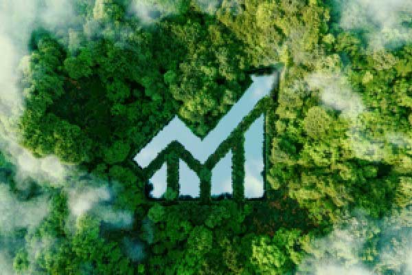 国家金融监管总局就《银行保险机构资产管理产品信息披露管理办法（征求意见稿）》公开征求意见