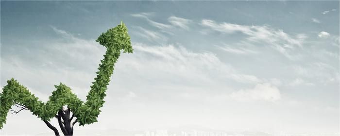 同一只新股有没有申购上限限制